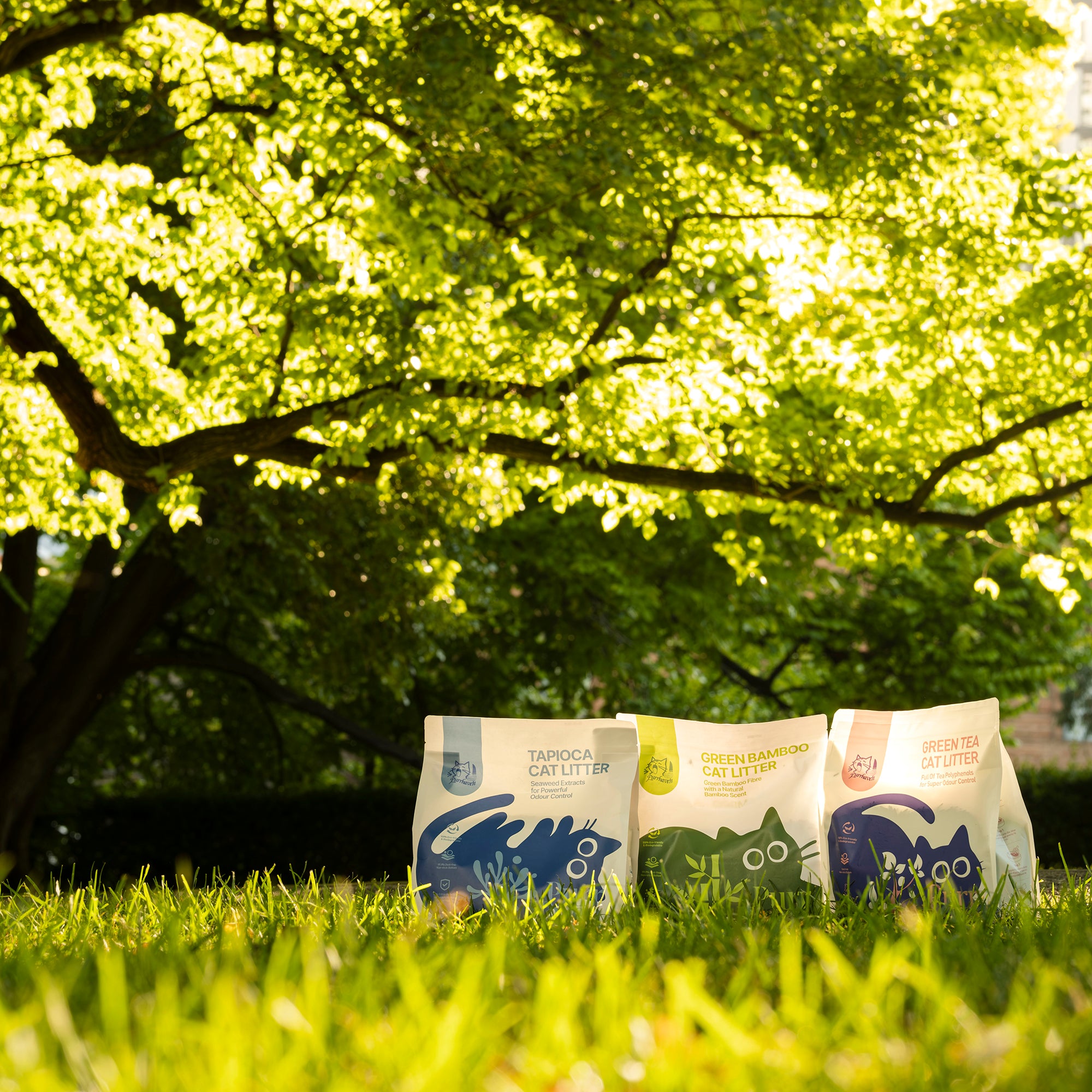 Green Tea Cat Litter | Flushable & Compostable | Natural Tea Polyphenols for Odor Control | Dust-Free, Low Tracking | Food-Grade Safe | 2.5kg