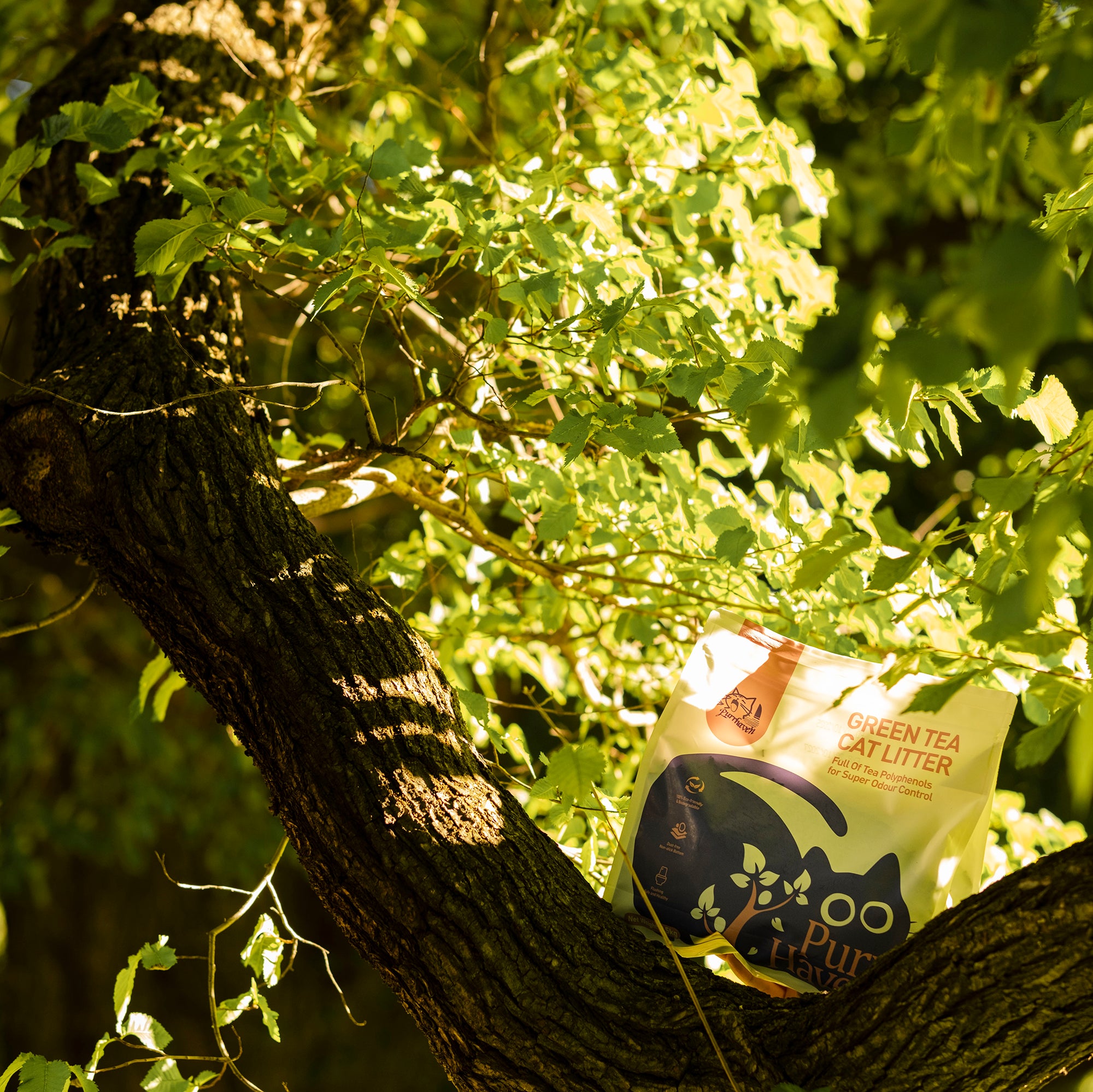 Green Tea Cat Litter | Flushable & Compostable | Natural Tea Polyphenols for Odor Control | Dust-Free, Low Tracking | Food-Grade Safe | 2.5kg