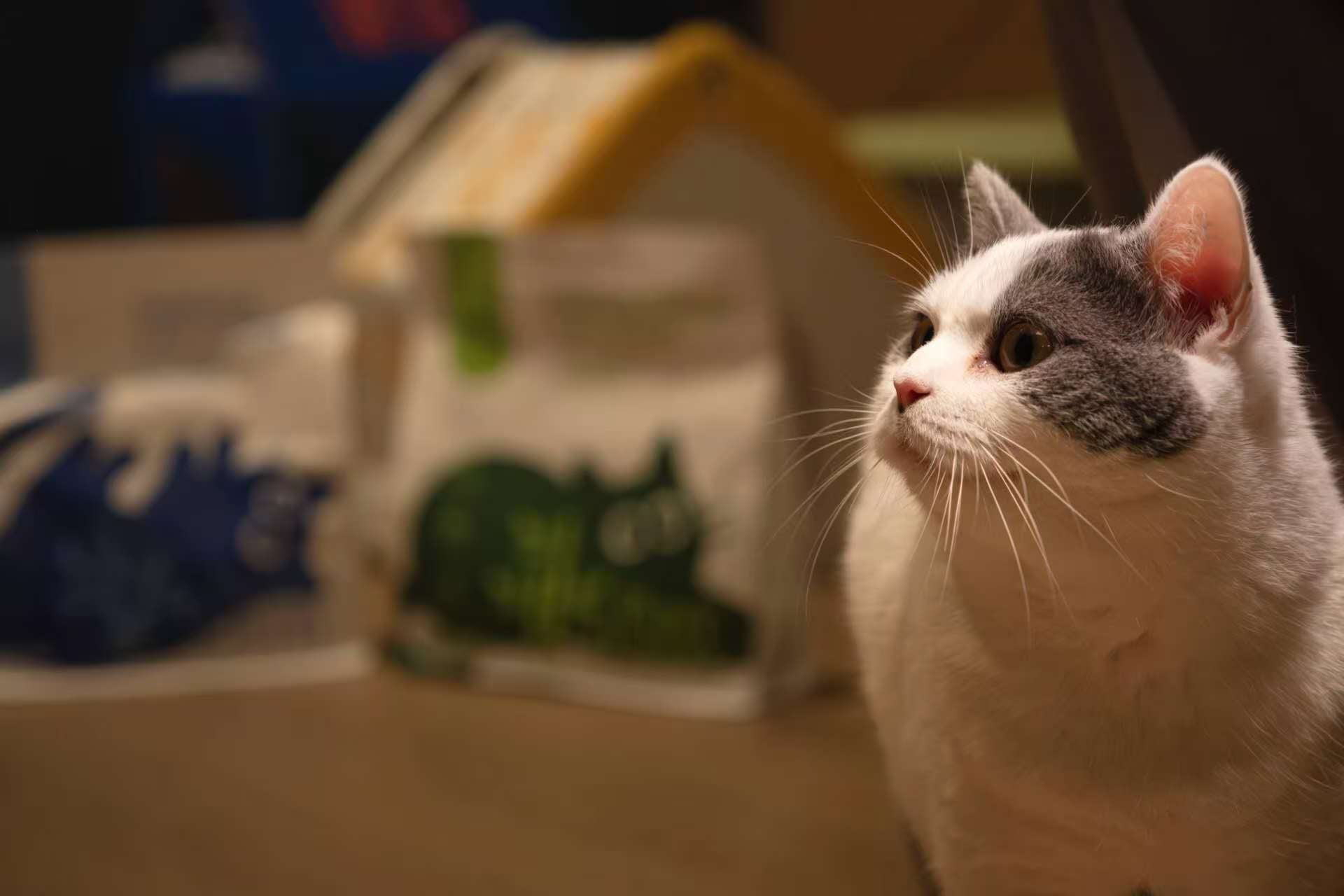 34553b661a25adde315dcc525ee99116.jpg__PID:4974ab40-89b2-4ac2-be1c-0a65c843176f